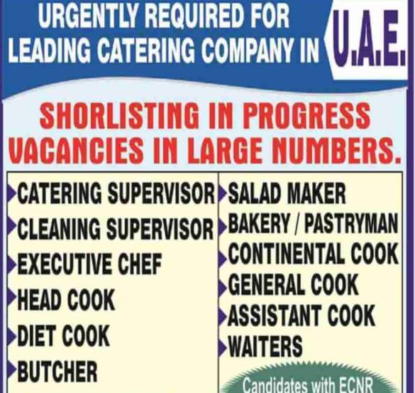 Cook jobs in UAE – Required for catering company | Large vacancy