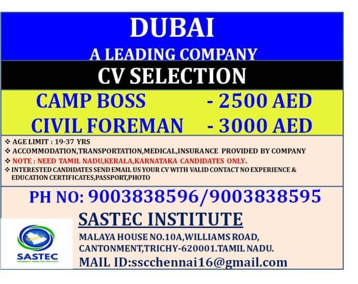 assignment-abroad-times
