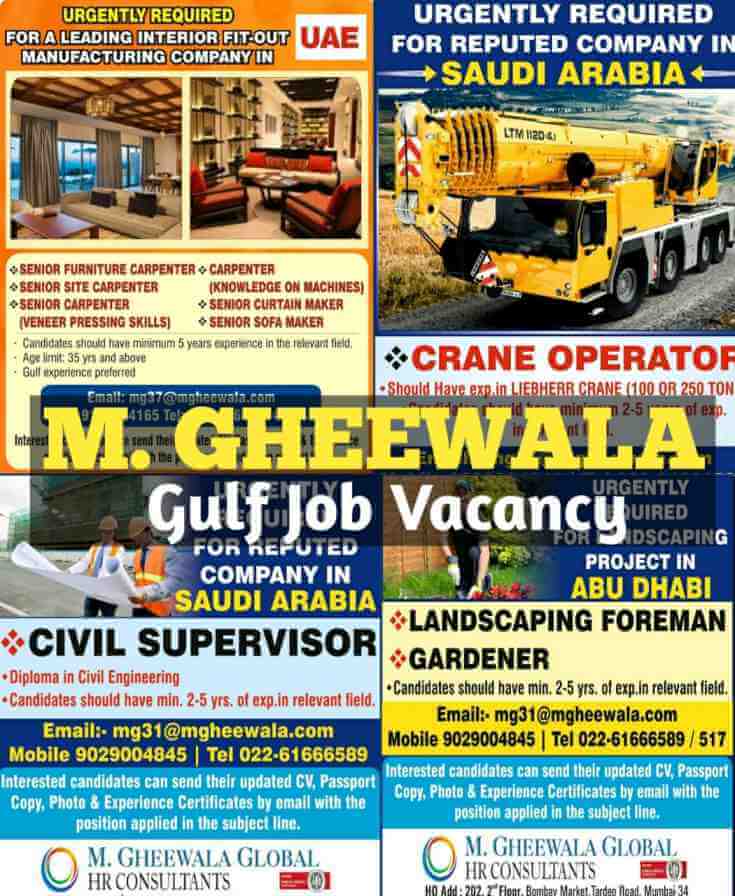 M Gheewala jobs – Gulf job vacancy | Jobs interview for Indians