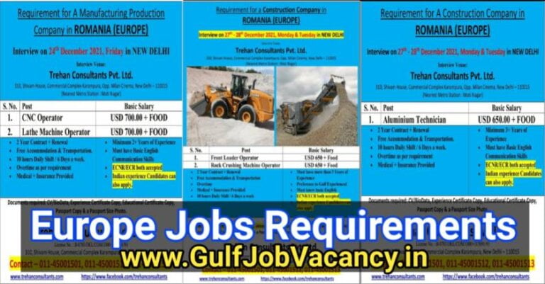 Europe Jobs – Trehan Consultant Delhi Interviews